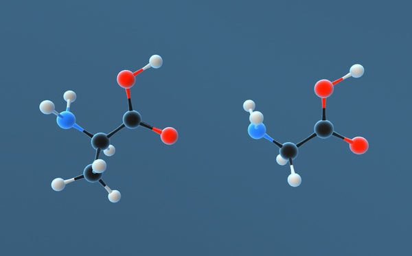 Peptidi di ancoraggio (AT-3 / BT-1)